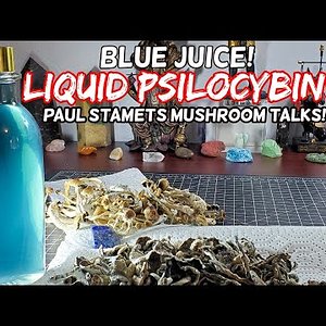 Blue Juice! Natural Cold Water Liquid Mushroom Juice, healthy Mushroom Juice w/ Paul Stamets Talks!